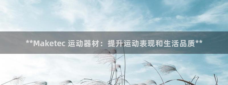 意昂3娱乐网站：**Maketec 运动器材：提升运