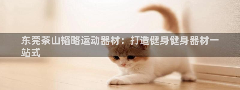意昂3官方：东莞茶山韬略运动器材：打造健身健身器材一