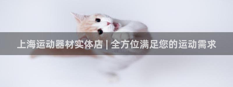 意昂3新能源：上海运动器材实体店 | 全方位满足您的