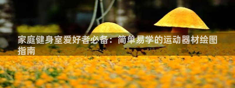 意昂3娱乐首页网站大全：家庭健身室爱好者必备：简单易