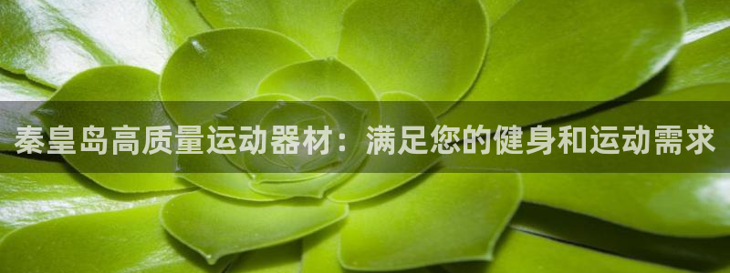 意昂体育3平台注册要钱吗是真的吗：秦皇岛高质量运动器