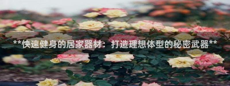 德国意昂3集团：**快速健身的居家器材：打造理想体型