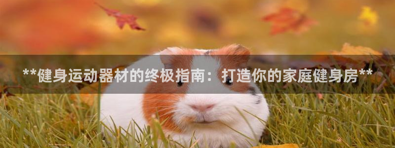 意昂3新能源：**健身运动器材的终极指南：打造你的家