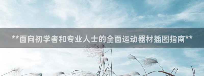 意昂体育3招商电话：**面向初学者和专业人士的全面运