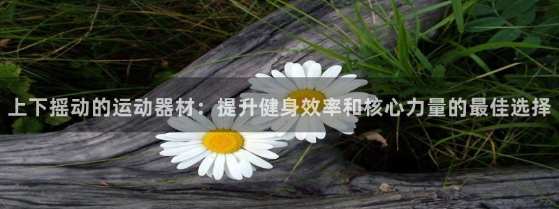 意昂体育3平台假的吗是真的吗吗：上下摇动的运动器材：