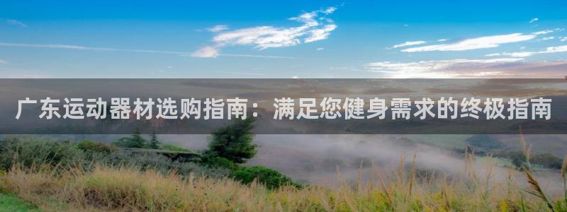 意昂体育3是干嘛的公司：广东运动器材选购指南：满足您