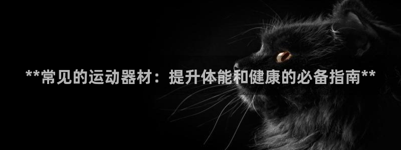 意昂体育3招商电话地址：**常见的运动器材：提升体能