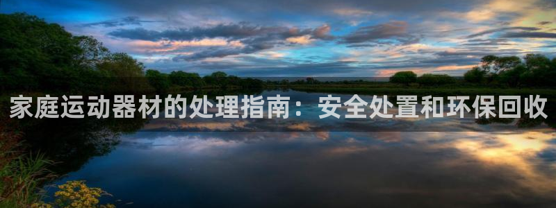 意昂体育3是干嘛的公司：家庭运动器材的处理指南：安全