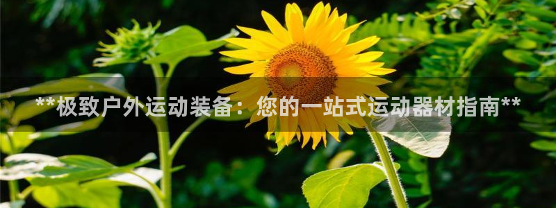 意昂3神州：**极致户外运动装备：您的一站式运动器材