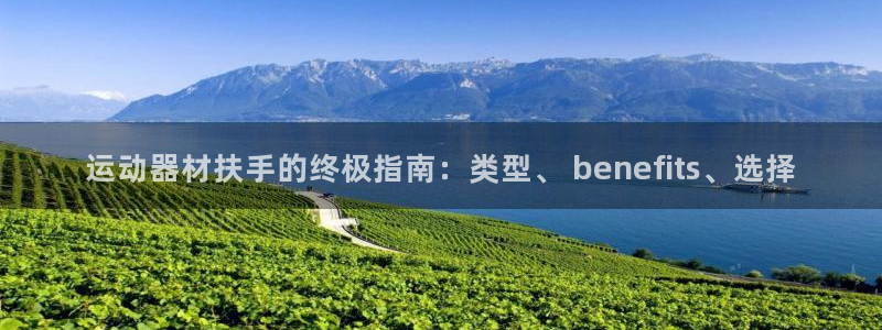 意昂3五金厂：运动器材扶手的终极指南：类型、 ben