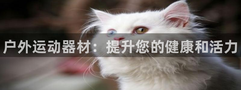 意昂体育3平台注册要钱吗：户外运动器材：提升您的健康