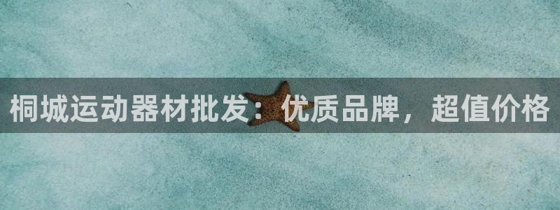 意昂体育3软件：桐城运动器材批发：优质品牌，超值价格