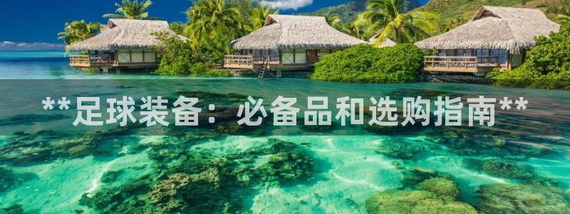 意昂体育3平台是正规平台吗：**足球装备：必备品和选