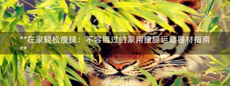 意昂3娱乐是那个系列的台子：**在家轻松瘦腿：不容错