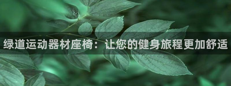 海南意昂体育3发展怎么样：绿道运动器材座椅：让您的健