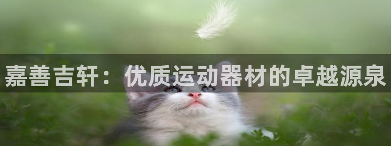 意昂3娱乐40996：嘉善吉轩：优质运动器材的卓越源