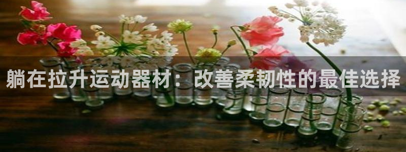 意昂体育3平台注册要钱吗安全吗：躺在拉升运动器材：改