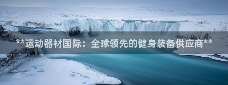 意昂3集团logo：**运动器材国际：全球领先的健身