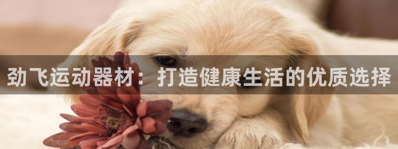 意昂体育3平台注册要钱吗：劲飞运动器材：打造健康生活