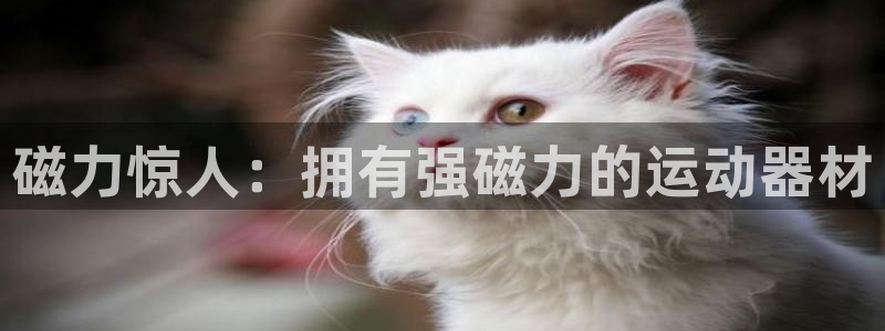 意昂平台体育：磁力惊人：拥有强磁力的运动器材