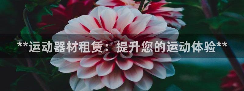 意昂3新能源：**运动器材租赁：提升您的运动体验**
