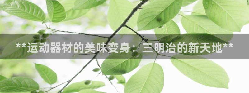 意昂3代理：**运动器材的美味变身：三明治的新天地*