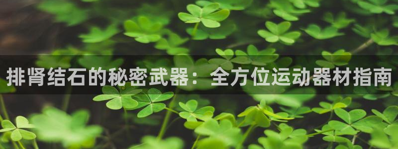 意昂体育3官方客服电话：排肾结石的秘密武器：全方位运