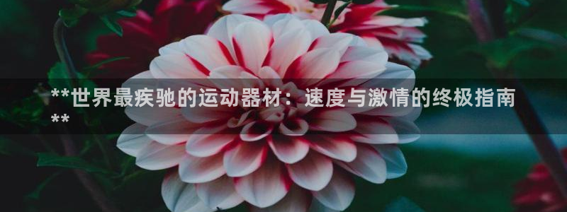 意昂体育3平台假的吗是真的吗吗：**世界最疾驰的运动