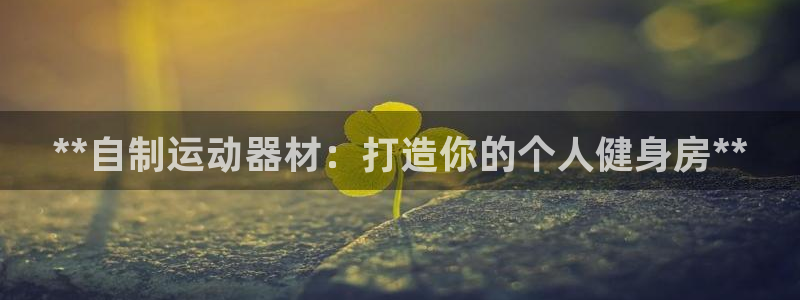 意昂体育3平台假的吗是真的吗：**自制运动器材：打造
