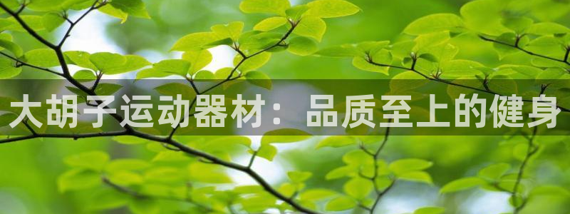 意昂3代理：大胡子运动器材：品质至上的健身