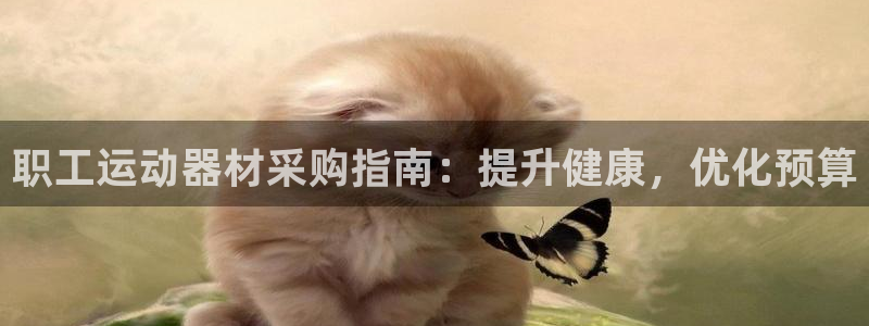 意昂体育3平台是正规平台吗：职工运动器材采购指南：提