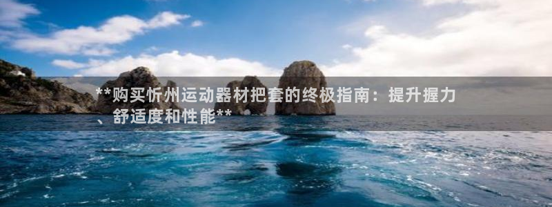 德国意昂3集团：**购买忻州运动器材把套的终极指南：