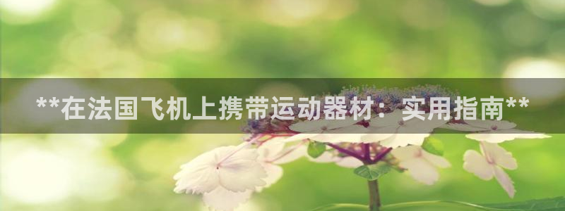 意昂体育3招商电话地址查询：**在法国飞机上携带运动