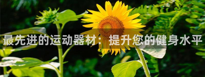 意昂3开户：最先进的运动器材：提升您的健身水平