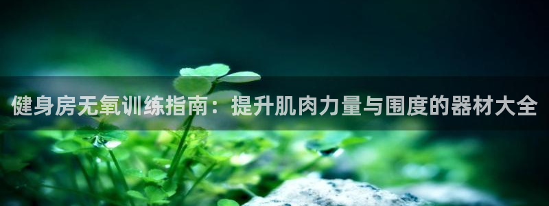 意昂3开户：健身房无氧训练指南：提升肌肉力量与围度的