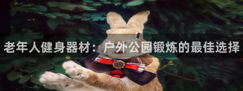 意昂体育3平台假的吗是真的吗：老年人健身器材：户外公