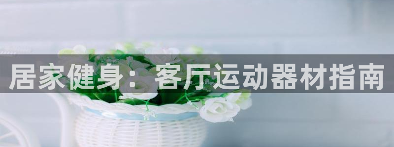 意昂体育3平台注册流程视频：居家健身：客厅运动器材指