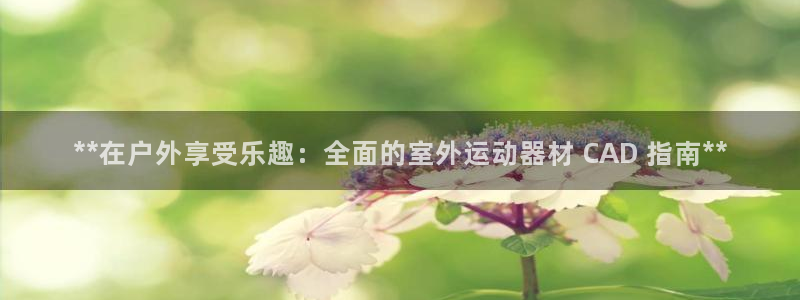 意昂3五金厂：**在户外享受乐趣：全面的室外运动器材