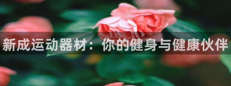 意昂体育3平台是正规平台吗安全吗：新成运动器材：你的