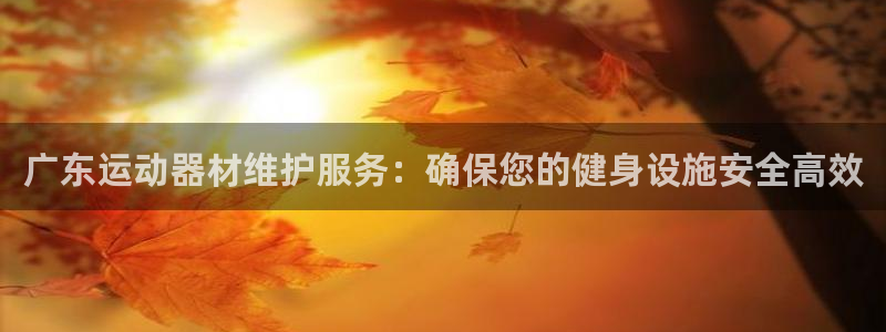 意昂体育3平台注册流程视频：广东运动器材维护服务：确