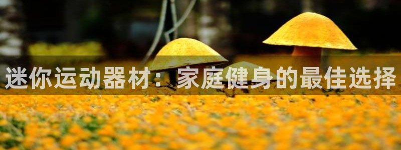 意昂体育3平台是正规平台吗知乎：迷你运动器材：家庭健