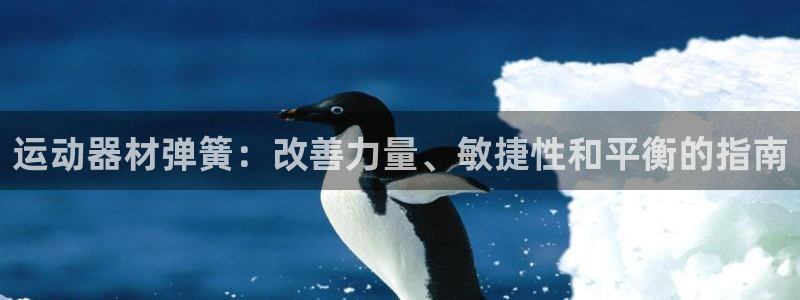 意昂3集团官网网址：运动器材弹簧：改善力量、敏捷性和平衡的指