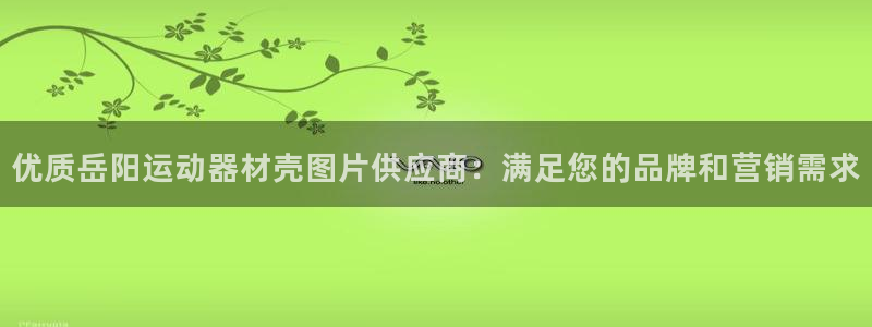 意昂体育3招商电话号码是多少号：优质岳阳运动器材壳图