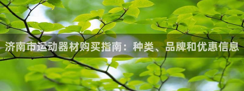 意昂3集团简介：济南市运动器材购买指南：种类、品牌和