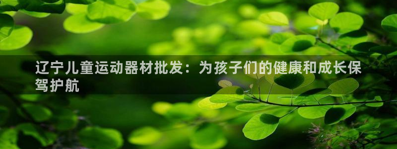 意昂体育3平台假的吗是真的吗：辽宁儿童运动器材批发：