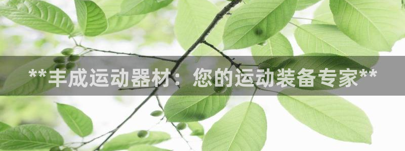 意昂3神州：**丰成运动器材：您的运动装备专家**
