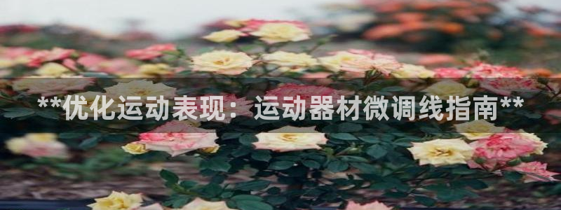 意昂3官网：**优化运动表现：运动器材微调线指南**