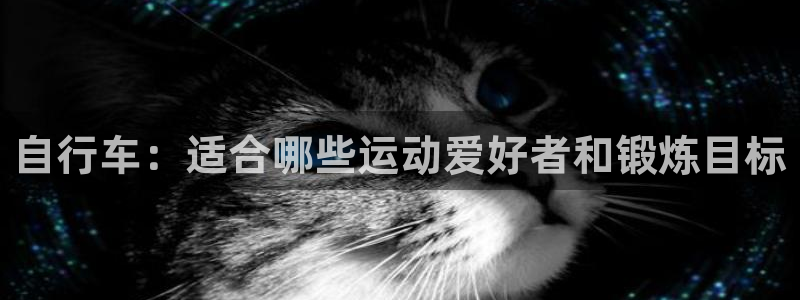意昂体育3平台注册要钱吗：自行车：适合哪些运动爱好者和锻炼目