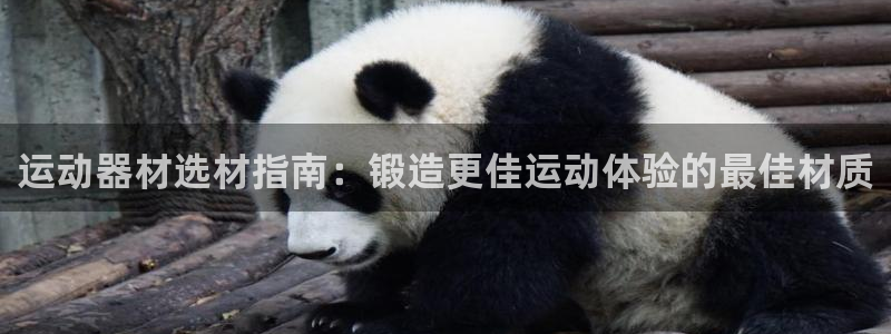 意昂3代理：运动器材选材指南：锻造更佳运动体验的最佳材质