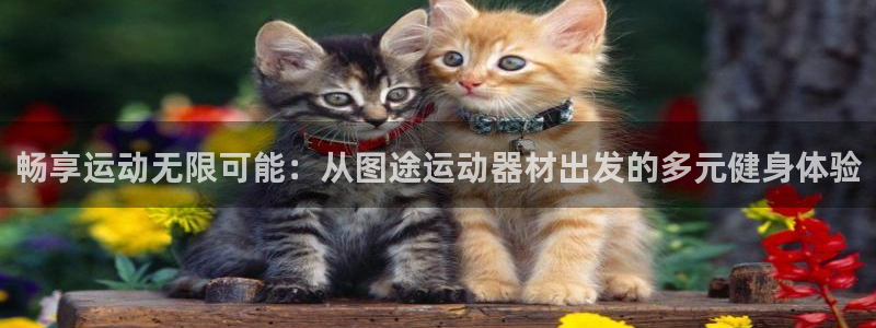 意昂3娱乐首页官网下载